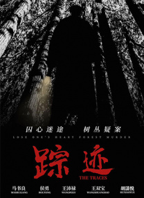 中文精品久久久久国产网站